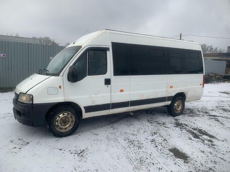 2010 Fiat Professional Ducato, белый, 480000 рублей, вид 3