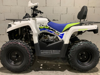 2021 Motoland ATV 200 Shark, белый, 236800 рублей, вид 2