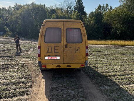 2009 ГАЗ ГАЗель (3302), жёлтый, 350000 рублей, вид 4