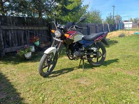 2020 Racer Tiger, красный, 80000 рублей, вид 1
