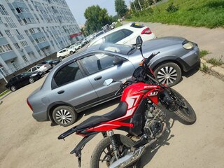 Alrendo TS Bravo