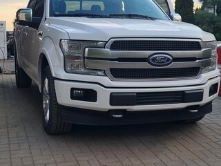 2019 Ford F-150 XIII Рестайлинг, белый, 4315000 рублей, вид 3