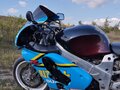 2001 Suzuki TL 1000, синий, 230000 рублей - вид 6