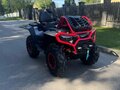2025 CFMoto CFORCE 1000 MV, чёрный, 1650000 рублей - вид 2