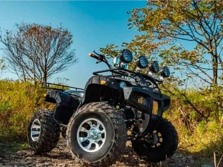 2025 Tiger Sport 250, чёрный, 237900 рублей, вид 1