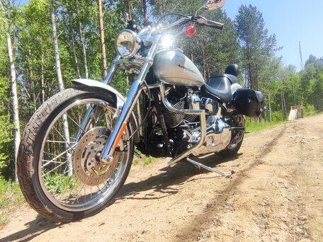 2005 Harley-Davidson Softail Custom, серебристый, 795000 рублей, вид 2