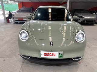 2023 Ora Good Cat 47.8 kWh I, зелёный, 1400000 рублей, вид 3