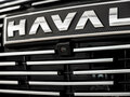 2026 Haval F7 II, синий - вид 11