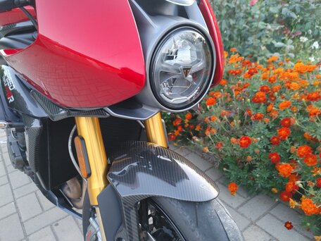 2023 Triumph Speed Triple, пурпурный, 2450000 рублей, вид 4