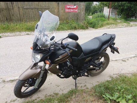2021 Motoland Bandit 250, коричневый, 110000 рублей, вид 3