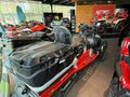 2024 AODES (Odes) Snowcross 1000, пурпурный, 999000 рублей - вид 6