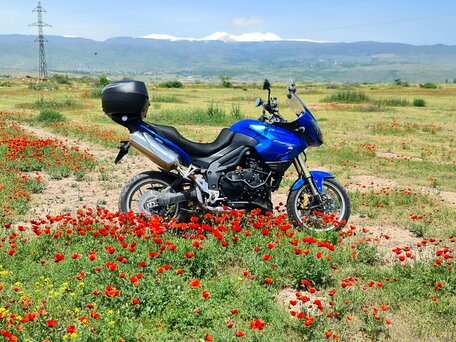 2007 Triumph Tiger 1050, синий, 350000 рублей, вид 5