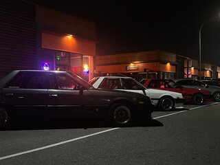 1985 Nissan Skyline VI (R30), серый, 499999 рублей, вид 3