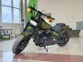 2022 Harley-Davidson Fat Bob, зелёный