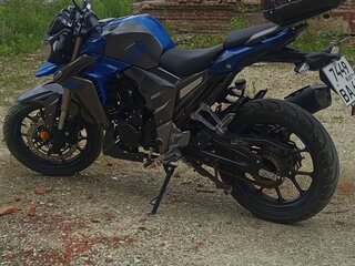 2022 Regulmoto T-Leopard 300, синий, 390000 рублей, вид 4