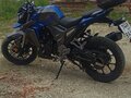 2022 Regulmoto T-Leopard 300, синий, 390000 рублей - вид 3