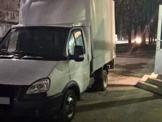 2009 ГАЗ ГАЗель (3302), белый, 600000 рублей, вид 1