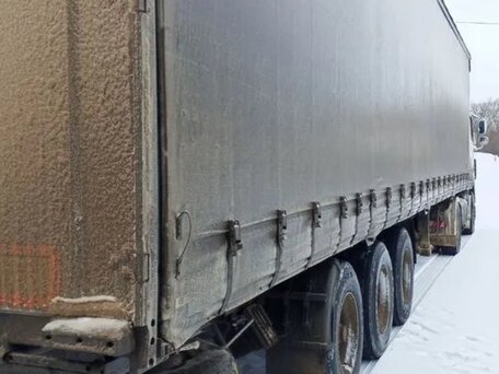 2003 DAF 95XF, белый, 3400000 рублей, вид 3