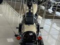 2014 Harley-Davidson Fat Bob, бежевый - вид 6