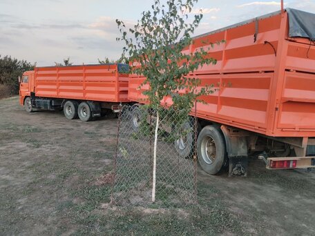 2016 КамАЗ 65115, оранжевый, 3650000 рублей, вид 4