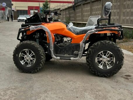 2025 Другие ATV (другие), оранжевый, 320000 рублей, вид 4