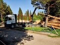 2017 Mercedes-Benz Actros, белый, 9000000 рублей - вид 10