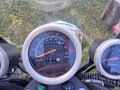 2022 Motoland Wolf 250, чёрный - вид 4