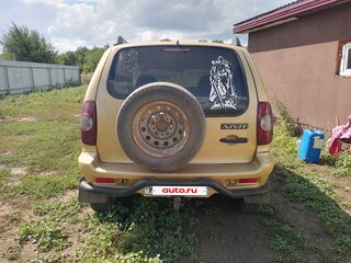 2005 Chevrolet Niva I, бежевый, 350000 рублей, вид 3