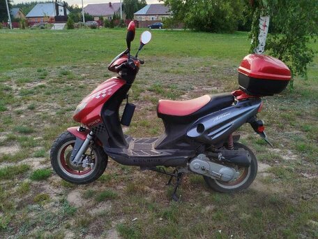 2008 Irbis RX 50, красный, 55000 рублей, вид 4