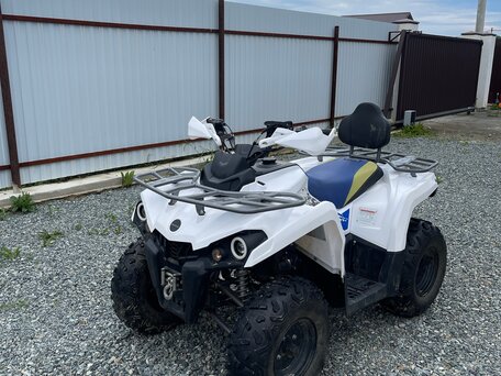 2022 Motoland ATV 200 Shark, белый, 150000 рублей, вид 2