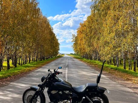 2005 Honda VT 750, чёрный, 450000 рублей, вид 4