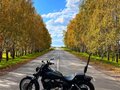 2005 Honda Shadow 750, чёрный, 460000 рублей - вид 1