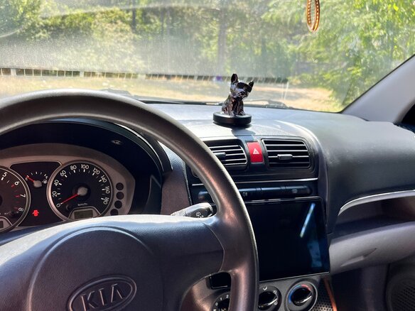 2006 Kia Picanto I, оранжевый, 570000 рублей - вид 13
