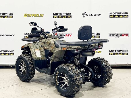2026 Motoland Wild Track 200 X Pro, бежевый, 219000 рублей, вид 3