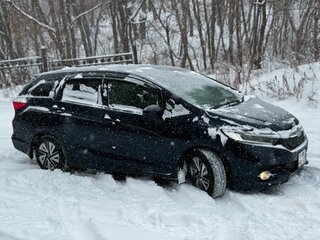 2016 Honda Shuttle II, чёрный, 1450000 рублей, вид 1