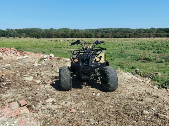 2015 Irbis TTR 125, жёлтый, 80000 рублей - вид 5
