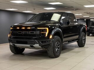 2022 Ford F-150 Raptor XIV, чёрный, 8990000 рублей, вид 1