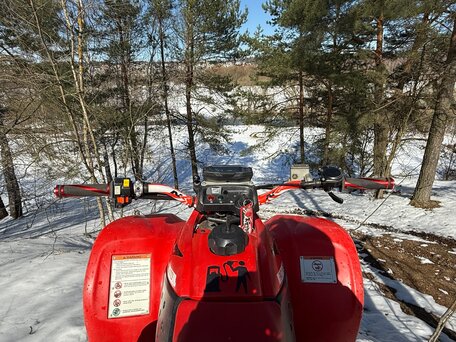 2004 Honda TRX 250, красный, 350000 рублей, вид 5