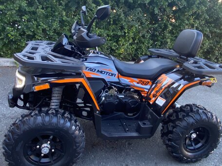 2025 Tao Motor Titan 250, красный, 230000 рублей, вид 3