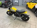 2015 Ducati Scrambler 800, жёлтый, 580000 рублей - вид 4