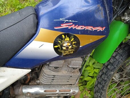 2000 Kawasaki KL 250, синий, 180000 рублей, вид 2