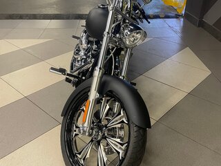 2008 Harley-Davidson Softail Custom, чёрный, 1600000 рублей, вид 5