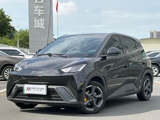 2023 BYD Seagull 38.88 kWh I, чёрный, 1200000 рублей, вид 1