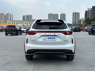2022 Haval Chitu, белый, 1350000 рублей, вид 5