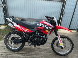 2025 Racer Panther, красный, 125000 рублей, вид 4