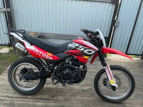 2025 Racer Panther, красный, 125000 рублей, вид 4