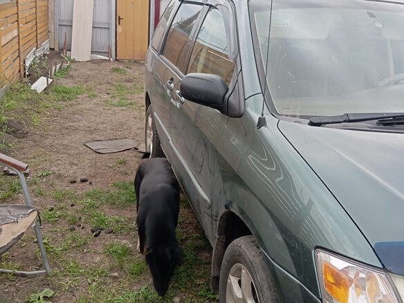 1999 Mazda MPV II (LW), зелёный, 700000 рублей - вид 4