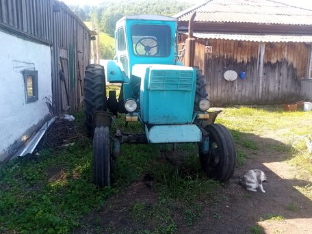 1988 ЛТЗ Т-40АМ, зелёный, 300000 рублей, вид 2