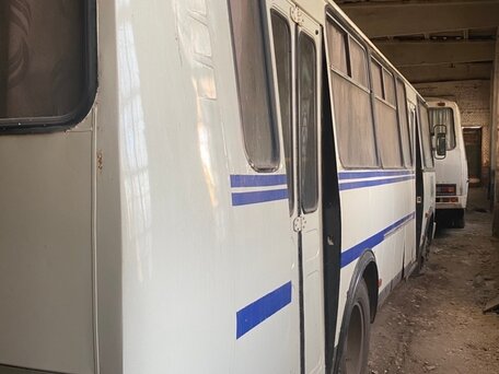 2009 ПАЗ 4234, белый, 220000 рублей, вид 2