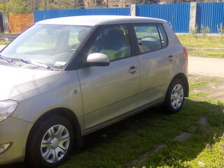 2010 Skoda Fabia II, серый, 700000 рублей, вид 4